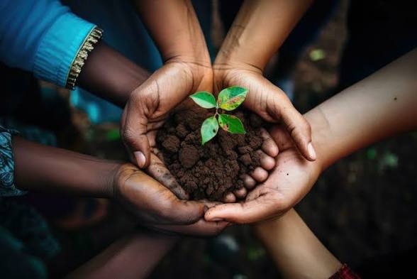 Sustainable farming practices supporting responsible growth