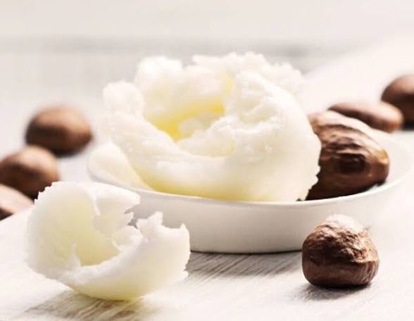 How to Source Shea Butter from Nigeria